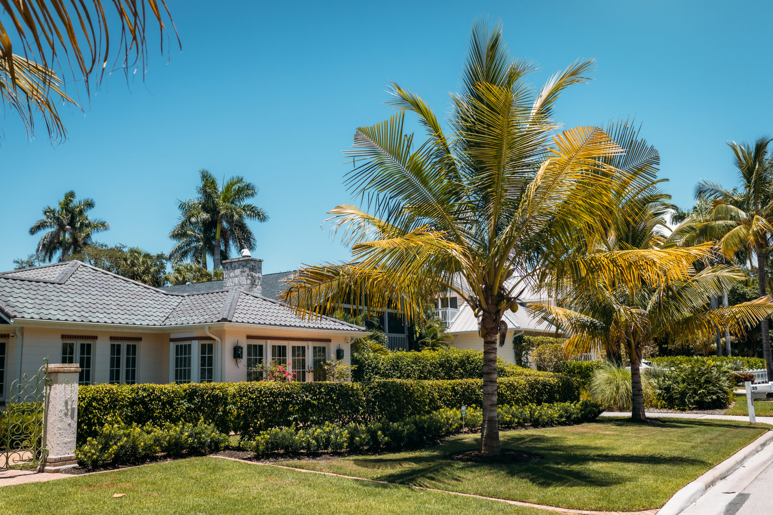 Typical american house with green grass and palm trees in a sun