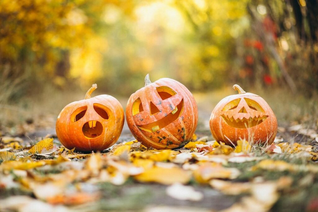 Three carved jack-o-lanterns sitting on a path covered in fall leaves