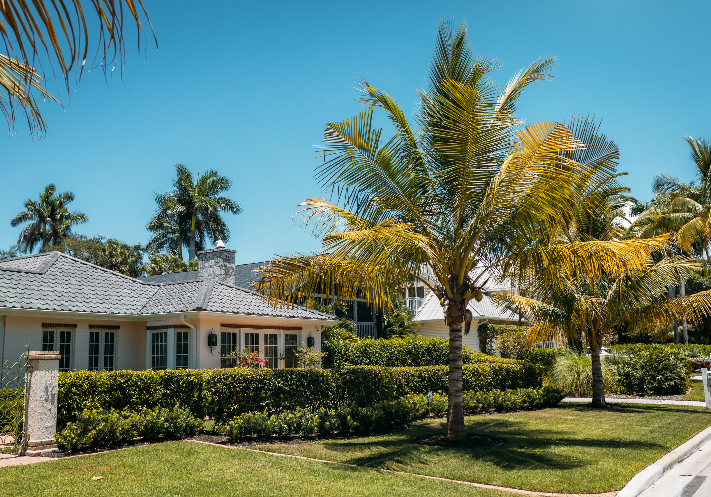 Typical american house with green grass and palm trees in a sun