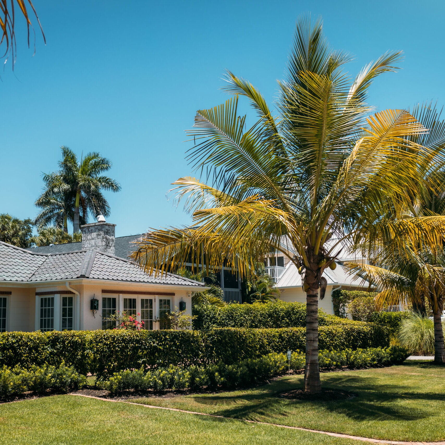 Typical american house with green grass and palm trees in a sun