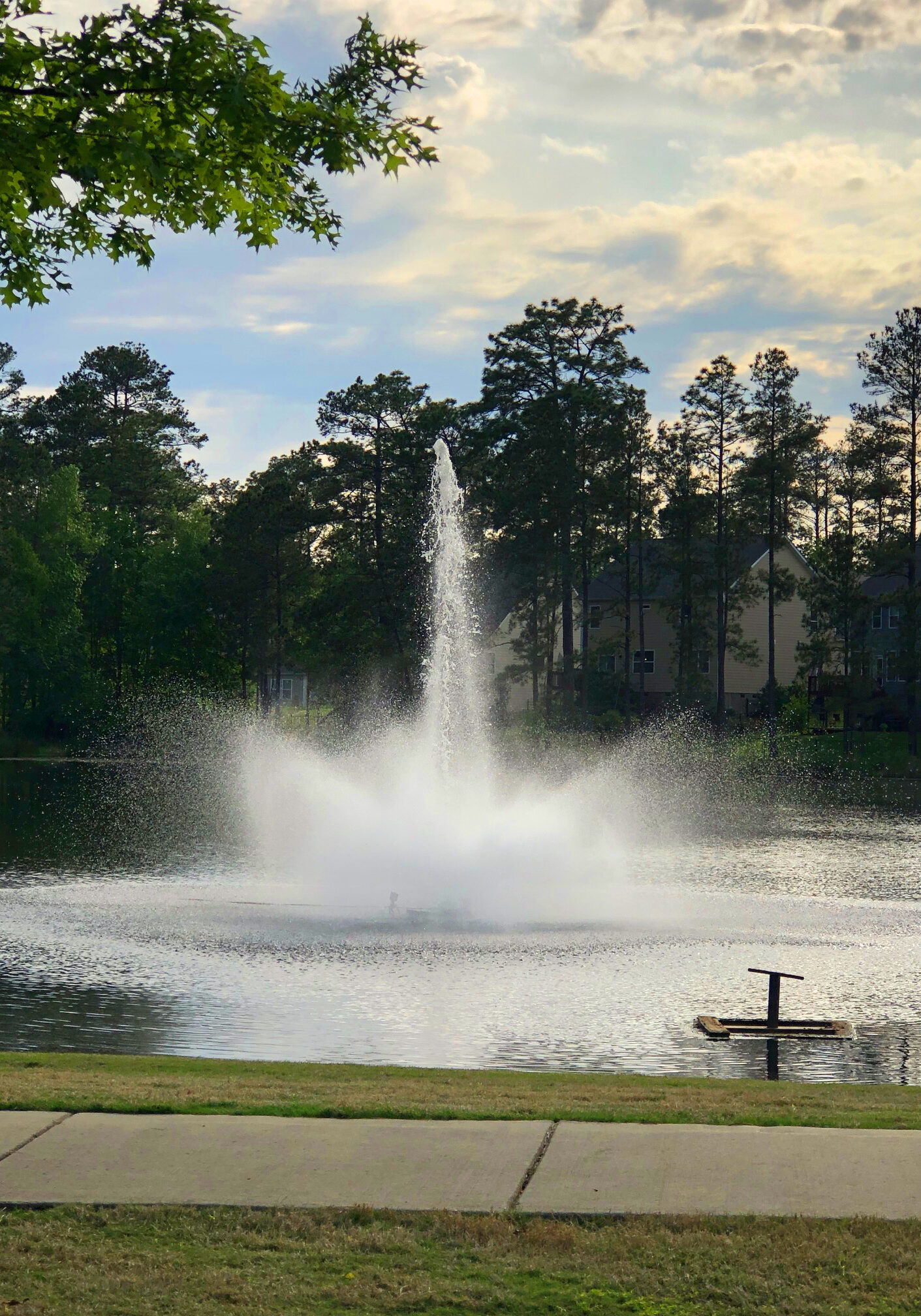 Fountain in Blythewood