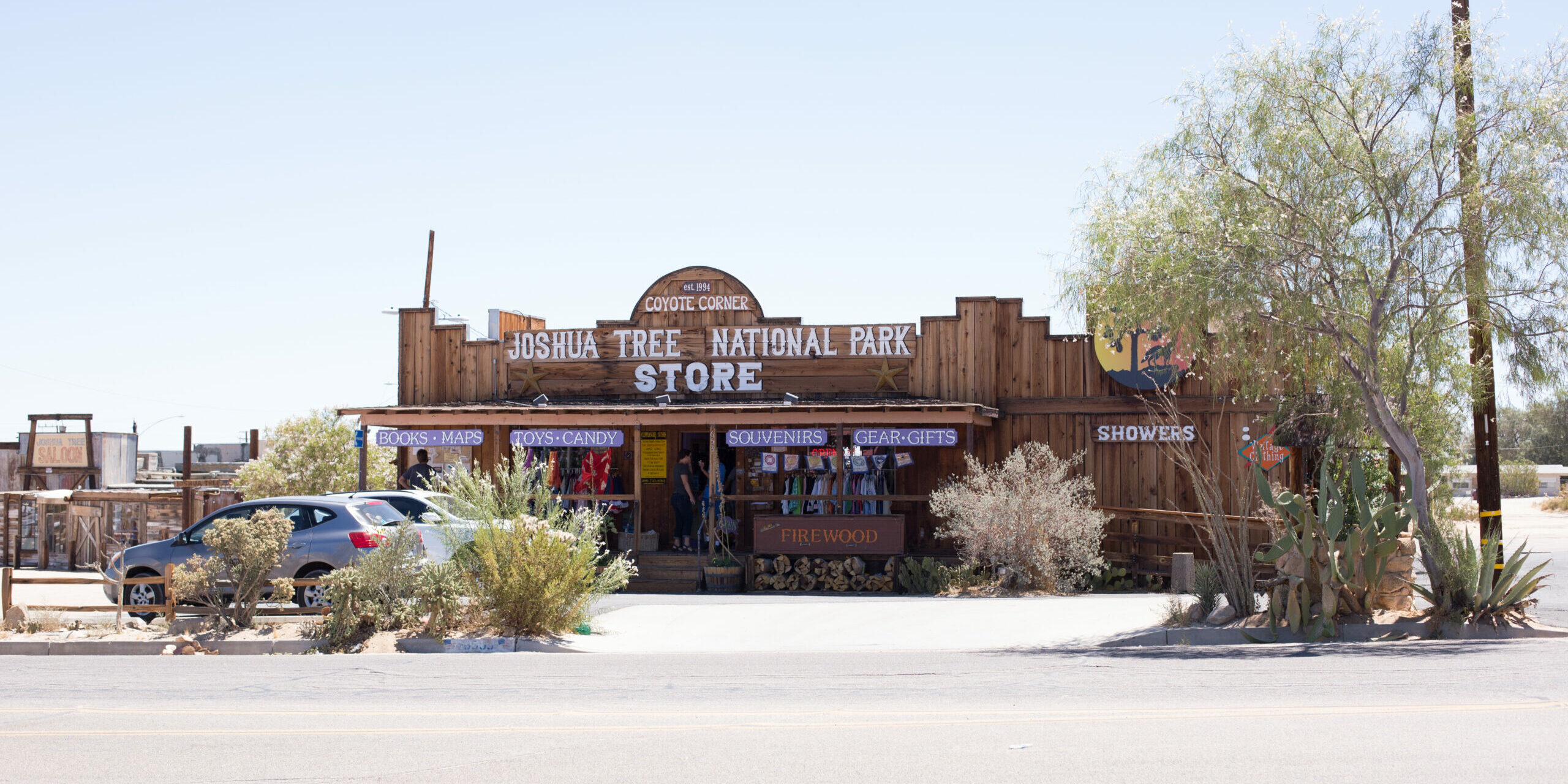 Natasha Billups - JoshuaTree-14